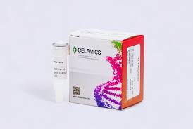 African Swine Fever Virus